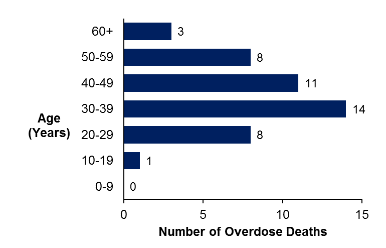 A horizontal bar graph showing the count of overdose deaths in Ottawa in 2016 by age group.